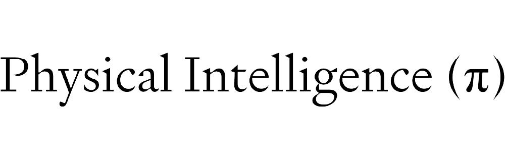 Physical Intelligence